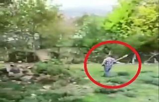 Sinop’ta köpeğini kürekle döverek öldüren...