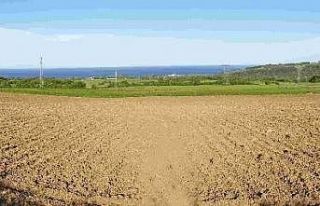 Sinop’ta “Milli Tarım Yerli Tohum Projesi"