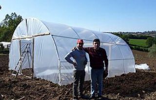Sinop’ta seracılık ve bahçe tarımına ilgi arttı
