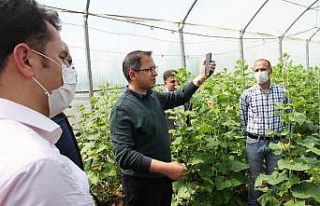 Şırnaklı çiftçi ilk mahsulün gelirini ’Biz...