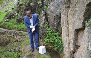 Şırnak’ta görülen ölü semenderler, araştırılmak...
