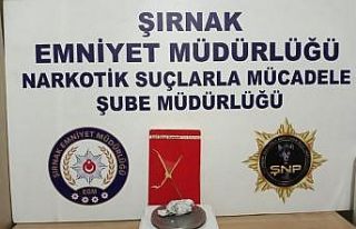 Şırnak’ta kaçakçılık operasyonu: 24 gözaltı