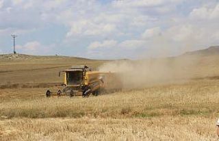 Sivas tarım alanında Türkiye 4’üncüsü