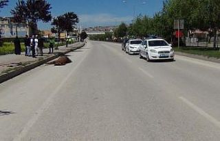 Sokağa çıkma kısıtlamasında akıl almaz kaza...Otomobil...