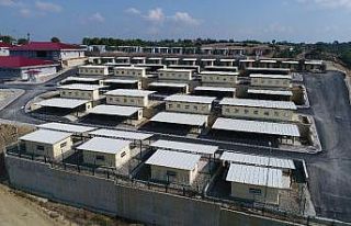 Sokak hayvanlarına modern barınak