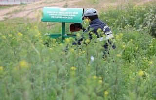 Sokak hayvanlarını özel ekip besliyor