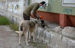 Sondakik editörleri sokak hayvanlarını unutmadı