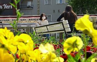 Sosyal mesafeli bank büyük ilgi görüyor