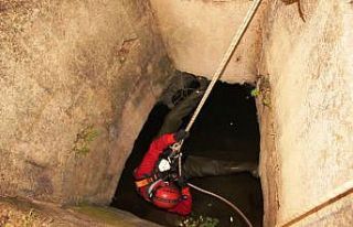 Su dolu kuyuda 3 gün hayat mücadelesi veren yavru...