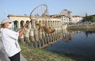 Sulama kanalından balık kurtarma operasyonu