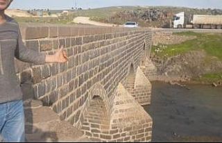 Tarihi Dilaver Köprüsü onarılmayı bekliyor