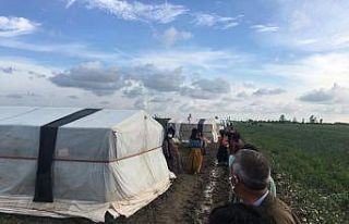 Tarım işçilerine yardım