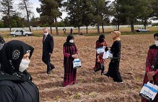 Tarlada çalışan anneler unutulmadı