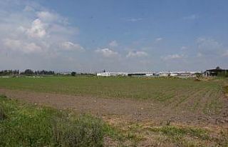 Tarsus Belediyesi, ‘Zehirsiz Sofralar Kuruyoruz’...