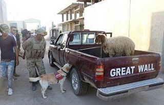 Telabyad ve Resulayn’da drone ve bomba arama köpeği...