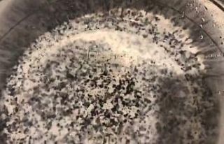 Temizlemek için söktüğü musluk filtresinde yüzlerce...