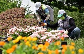 Tepebaşı çiçekler ile şenleniyor
