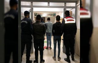 Tire’de küçükbaş hayvan hırsızlığına 3...