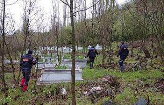 Tokat’ta, kaybolan alzaymır hastasını kadını...