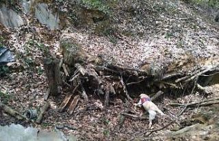 Tokat’ta terör örgütüne ait sığınak ele geçirildi