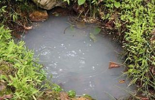 Trabzon’un Araklı ilçesinde fındıklık içinde...