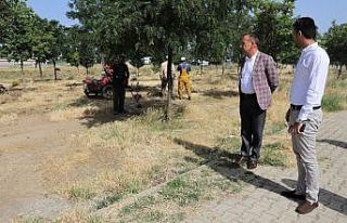 Turgutlu Belediyesinden bayram hazırlığı