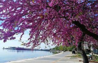 Turizm cenneti Erdek’te kartpostallık görüntüler