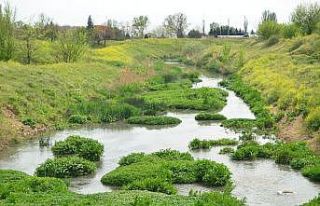 Türkiye gündemine oturmuştu: O dereyle ilgili flaş...