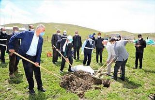 Tuşba Belediyesinden ‘Model Ceviz Bahçesi’ projesi