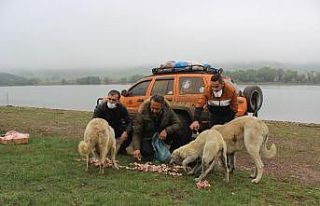 Uludağ’daki hayvanlar "aç kalmasın"...