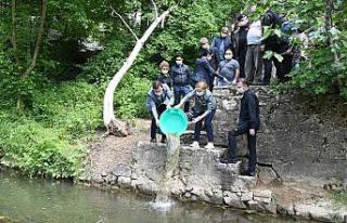 Uşak’taki sinek sorunu 100 bin kurbağayla çözülecek