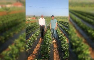 Vakıflar Genel Müdür Yardımcısı Ökten Hüyük’ü...