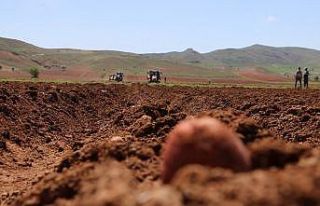 Vali traktör koltuğuna geçti, patates ve pancar...