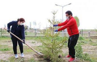 Van`da 14 günlük karantinada kalanlar fidan dikti