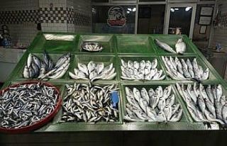 Vatandaşlar çupra ve levrek ilgi gösterdi