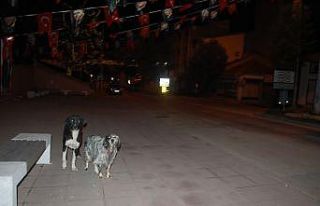 Vatandaşlar kısıtlamaya uydu, sokaklar sessizliğe...