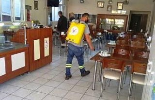 Yalova, pazartesi gününe hazır