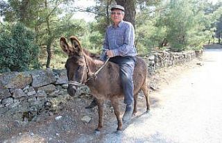 Yaşa takılmadan emektar eşeğinin sırtında dolaşıyor
