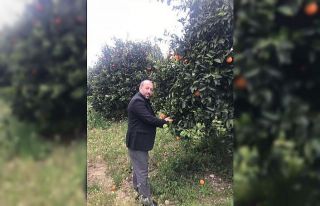 Yatırım uzmanı Altunç’tan salgın sonrası “Yeni...