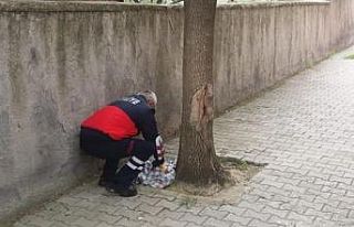 Yavru baykuşu itfaiye ekibi kurtardı