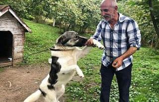Yayladaki evinde ölü bulundu
