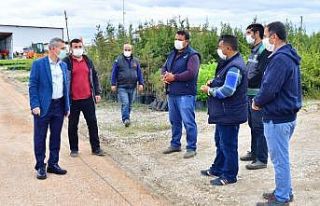 Yeşilyurt Belediyesi, Fidanlık Alanı’nı yeniliyor