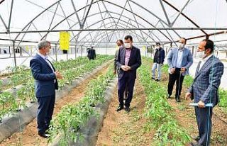 Yeşilyurt’ta Meyve Kurutma ve Kükürtleme Tesisi...