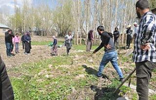 Yılanlar evi bastı