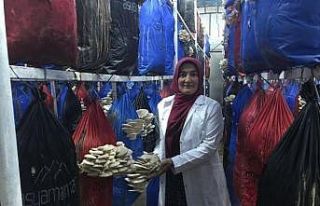 Yılda 3 ton mantar üretiyor