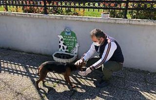 Yıldırım’de sokak hayvanlarına şefkat