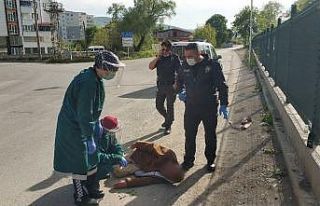 Yolda yatarken bulunan yaşlı adam hastaneye kaldırıldı