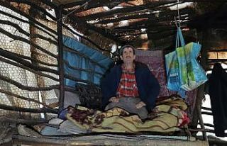 Yürek burkan olay... Aylardır ormanda mağara gibi...