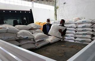 Yüzde 75 hibeli çeltik tohumu dağıtımı