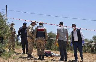 Zeytin bahçesinde ceset bulundu